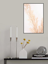 Dried Straws_2 Poster och Canvastavla