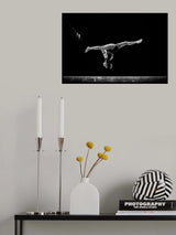 Inverted Poster och Canvastavla
