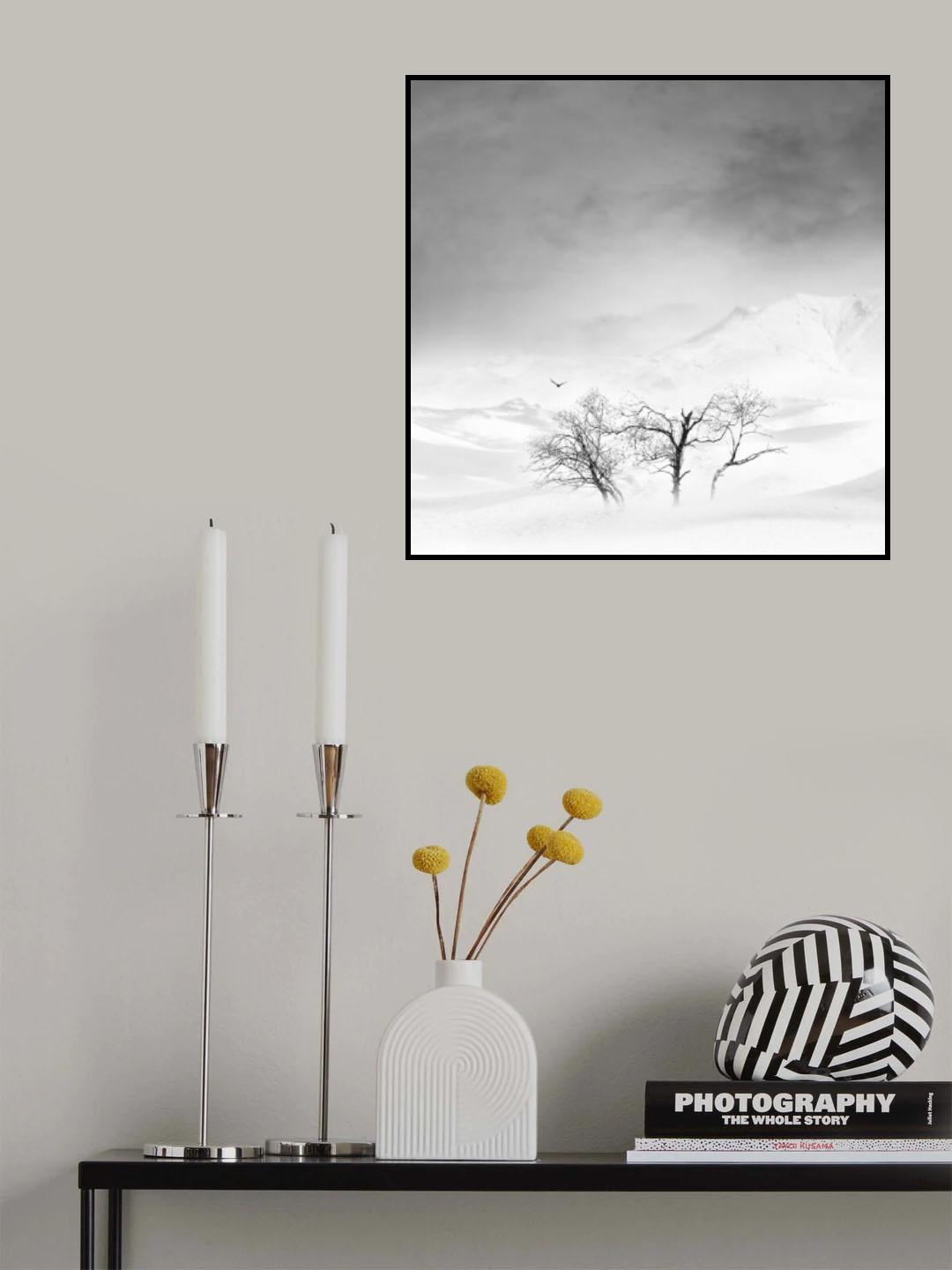 Gilan Poster och Canvastavla