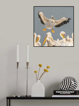 Pelicans Poster och Canvastavla