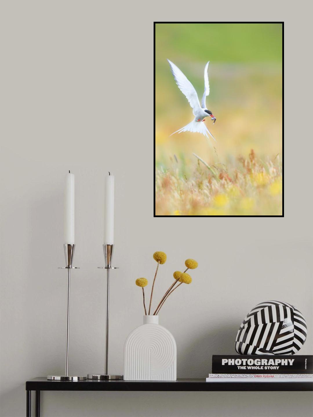 Landing Poster och Canvastavla