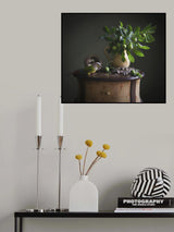 Apples Poster och Canvastavla
