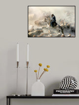 Migration Poster och Canvastavla