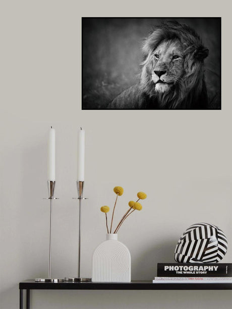 Regal Poster och Canvastavla