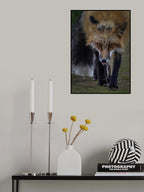 Fox Playing With Mouse - II Poster och Canvastavla