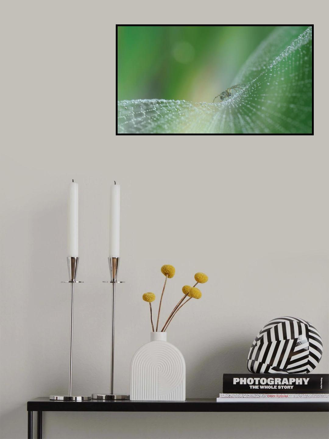 On pearls of diamonds... Poster och Canvastavla