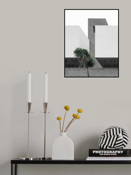 Lonely Palms Poster och Canvastavla