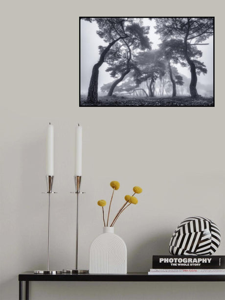 Dancing Trees Poster och Canvastavla