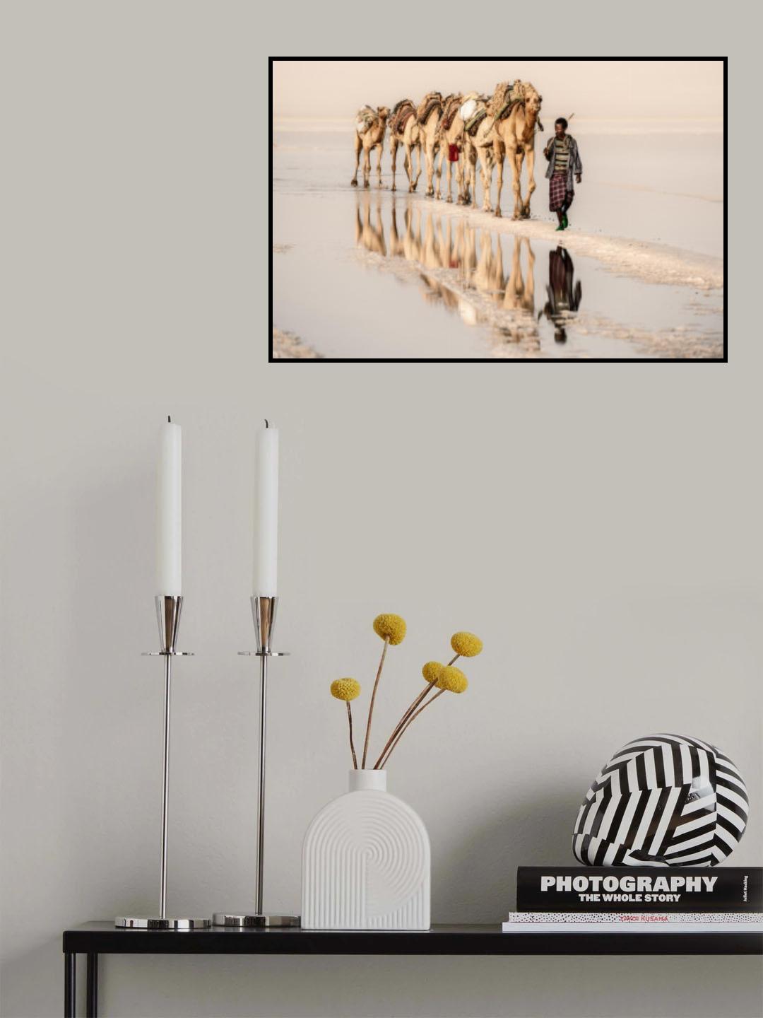 Salt of the earth Poster och Canvastavla