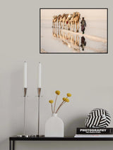Salt of the earth Poster och Canvastavla