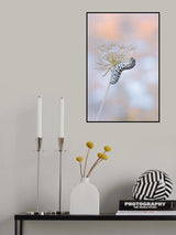Beauty Poster och Canvastavla
