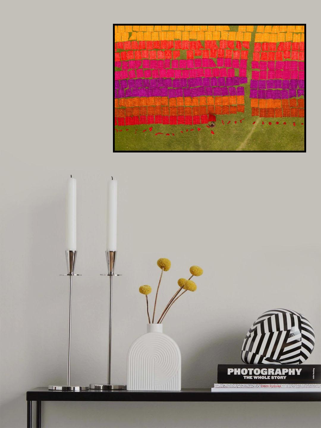 Multicolored cloths drying Poster och Canvastavla