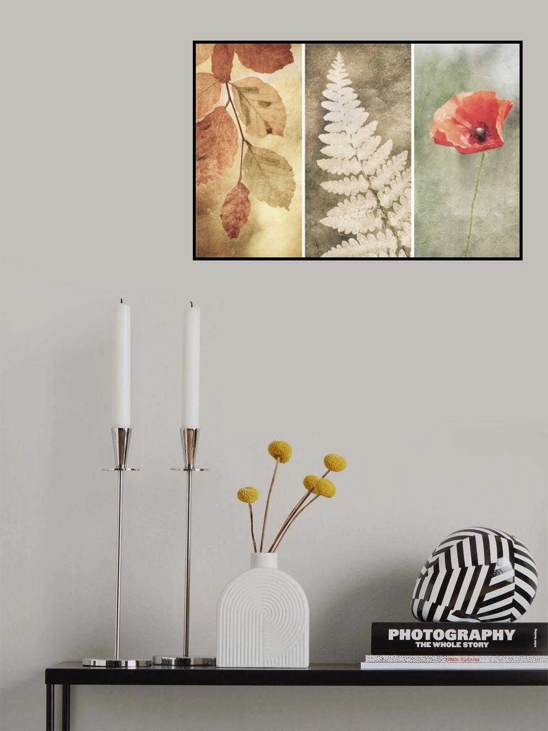 Poster och Canvastavla