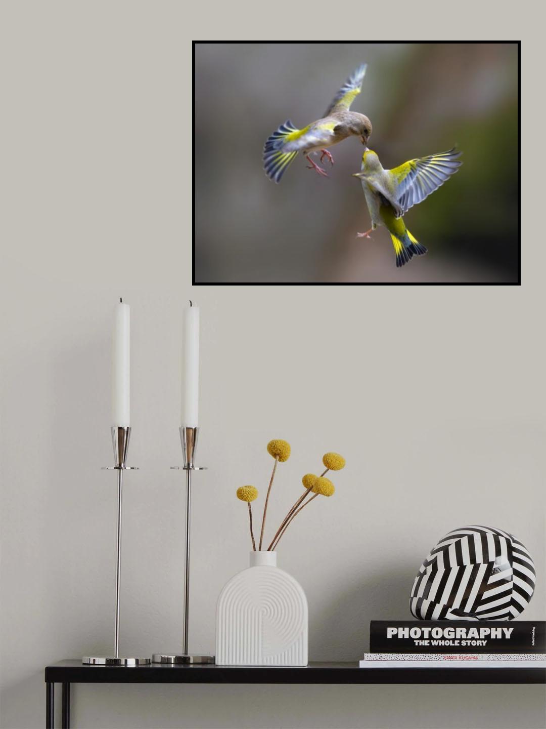 Flying Kiss 2 Poster och Canvastavla