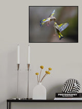 Flying Kiss 2 Poster och Canvastavla
