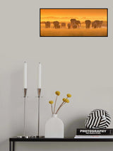 Golden Light Poster och Canvastavla