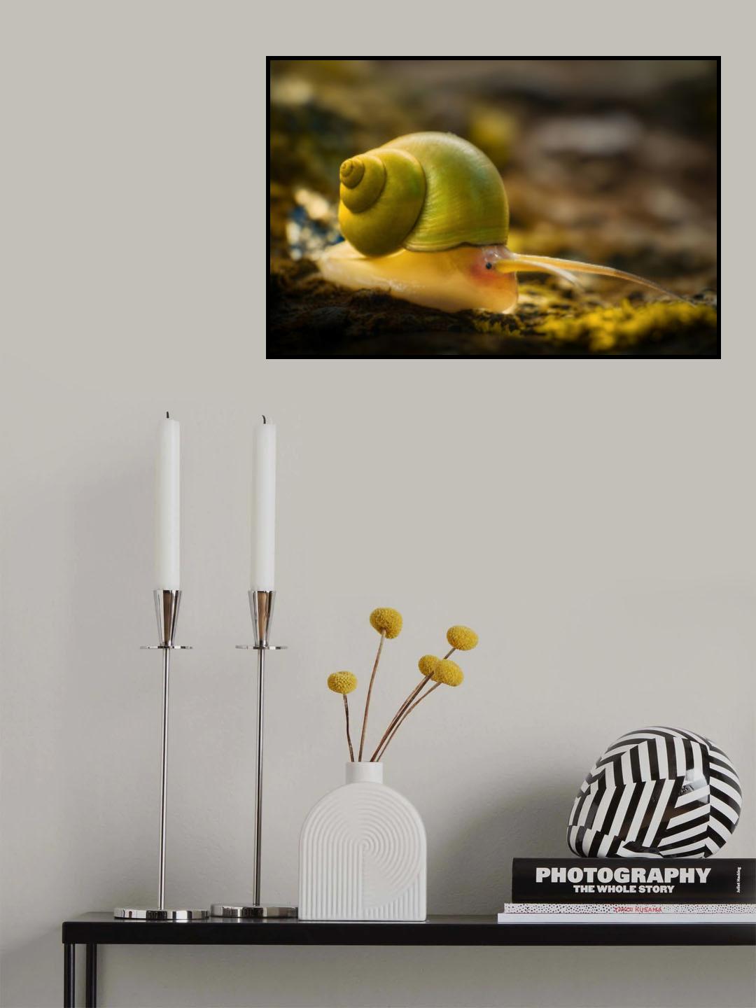 Leptopoma nitidum Poster och Canvastavla
