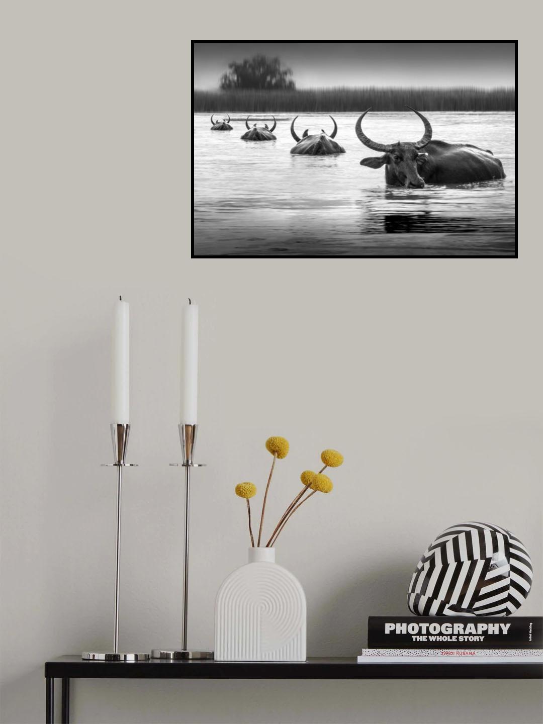 Don't follow me Poster och Canvastavla