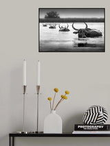 Don't follow me Poster och Canvastavla