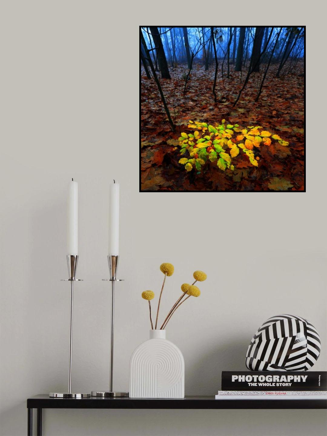Delighted beech Poster och Canvastavla