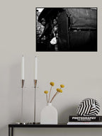 three looks Poster och Canvastavla
