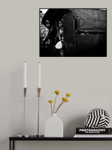 three looks Poster och Canvastavla