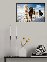 Icelandic Hair Style Poster och Canvastavla