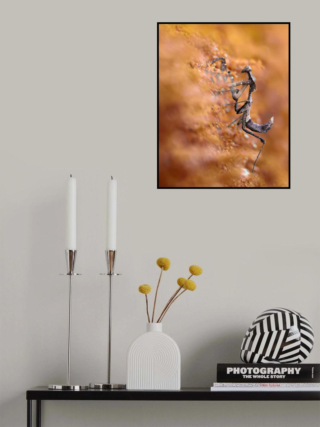 Majestic Mantis Poster och Canvastavla