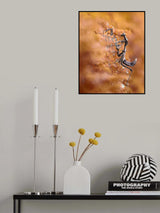 Majestic Mantis Poster och Canvastavla