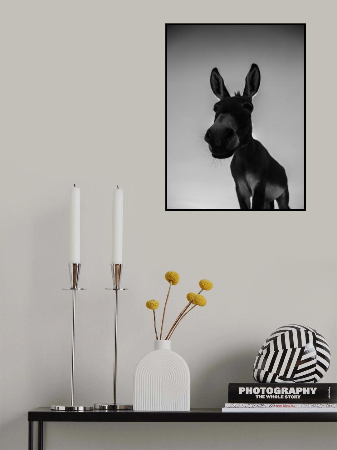 Donks Poster och Canvastavla