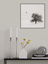Old Cherry Tree Poster och Canvastavla