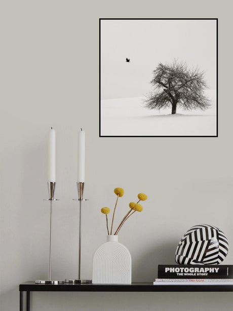 Old Cherry Tree Poster och Canvastavla