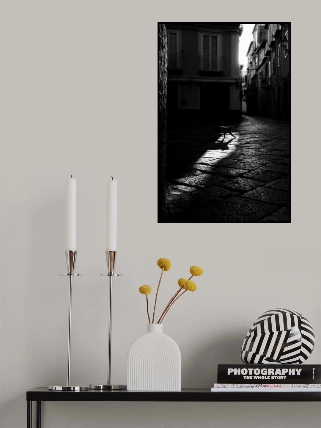 Cat Poster och Canvastavla