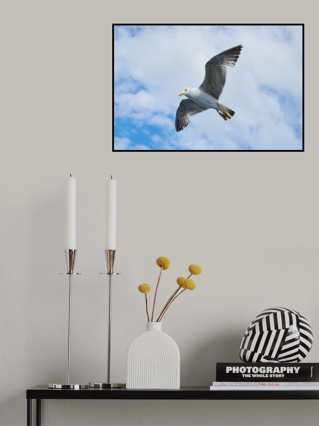 flying seagull Poster och Canvastavla