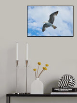 flying seagull Poster och Canvastavla