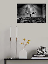 n/t Poster och Canvastavla
