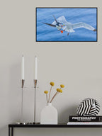 A seagull robbing a puffin Poster och Canvastavla