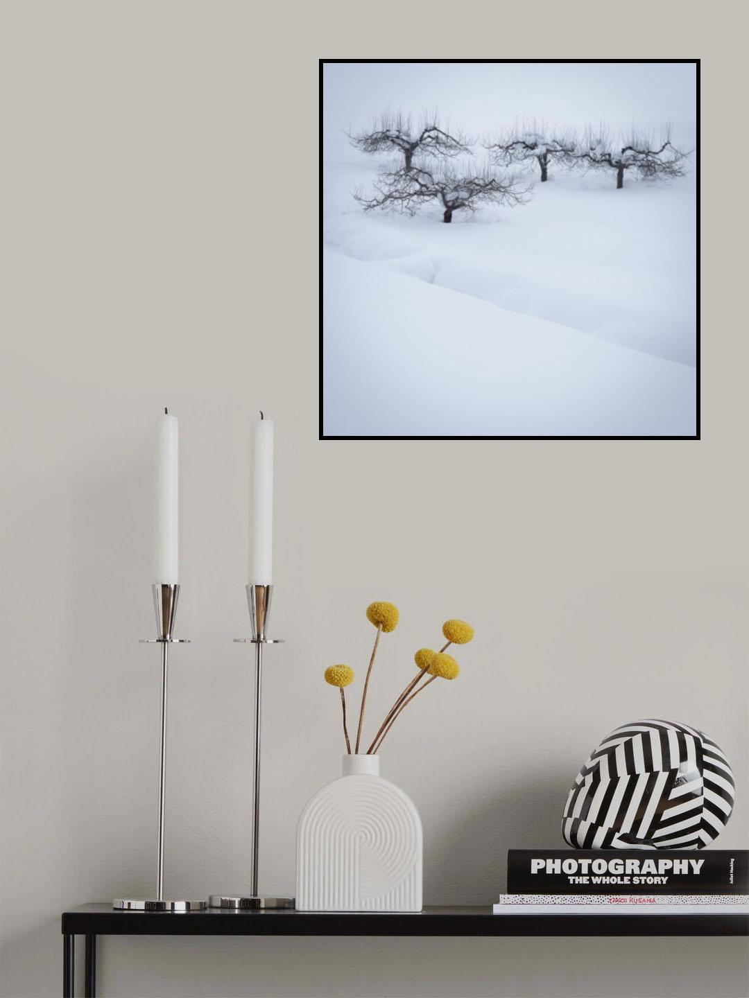 Cherry Zen Poster och Canvastavla