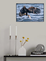 Young Catcher Poster och Canvastavla