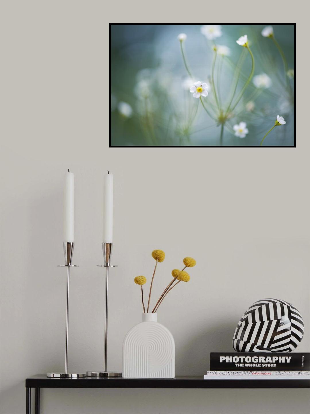 Rock Jasmine Poster och Canvastavla
