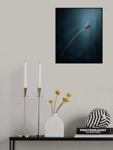 Pole vault Poster och Canvastavla