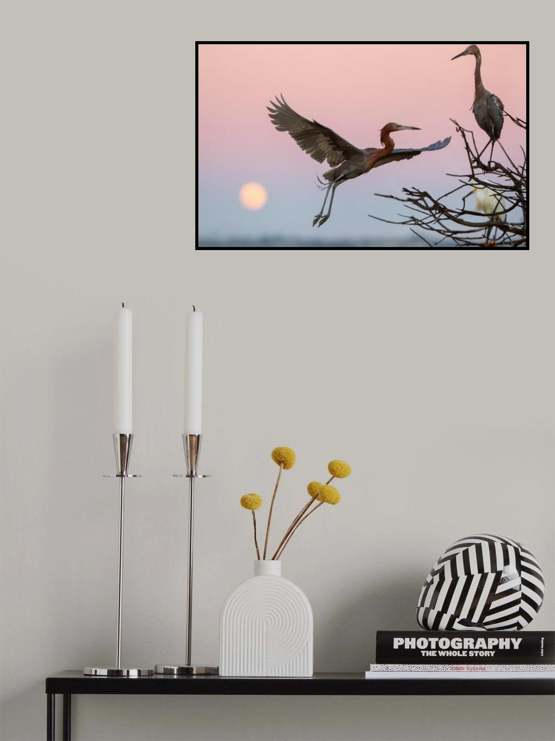 flying in pink evening Poster och Canvastavla