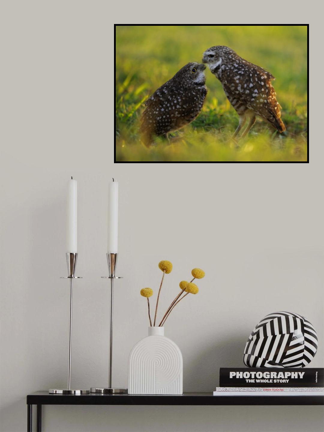 Affectionate Gaze Poster och Canvastavla