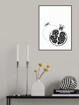 Line art pomegranates Poster och Canvastavla