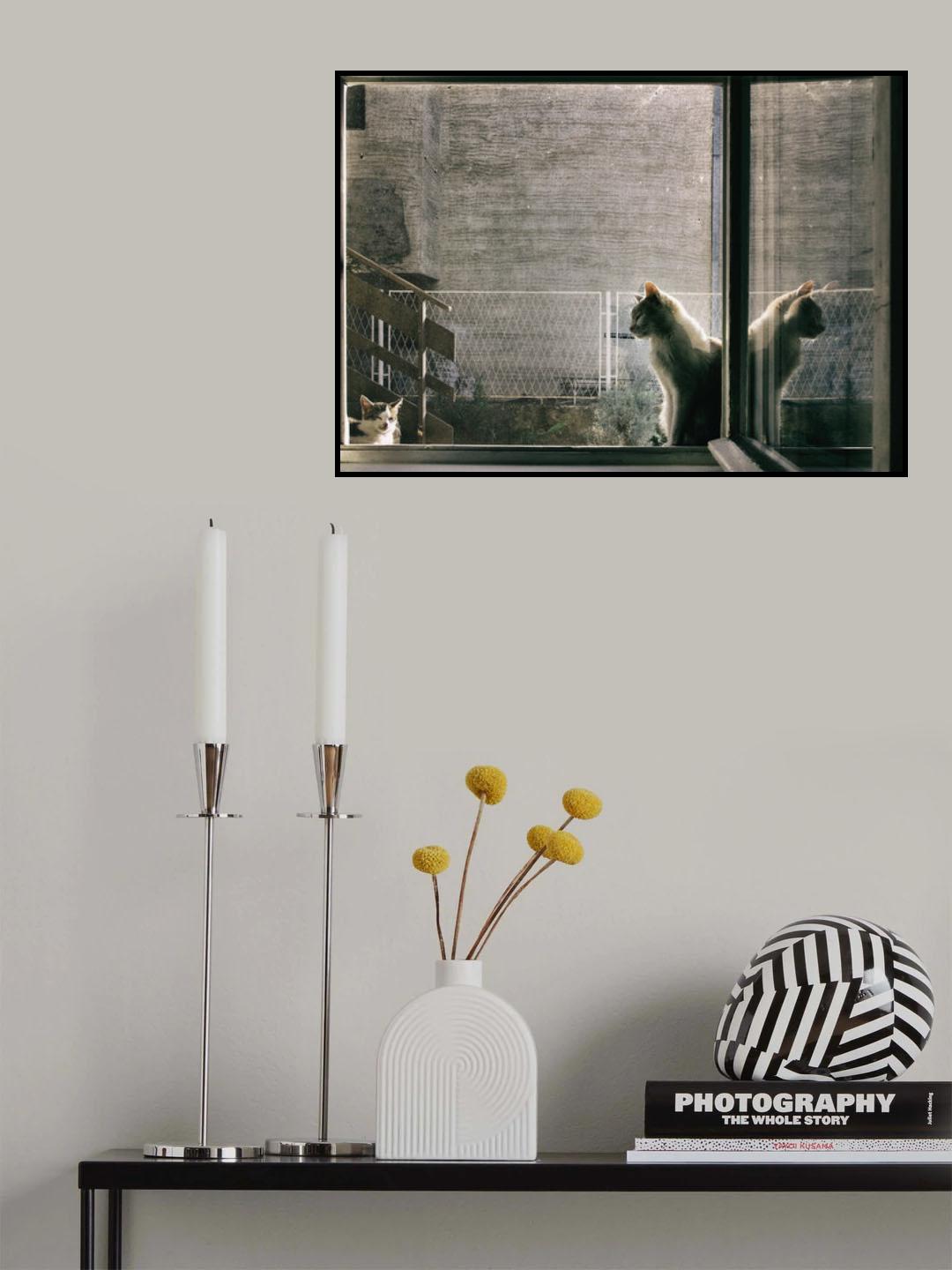 Poster och Canvastavla