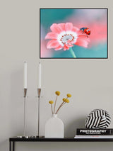 ladybug Poster och Canvastavla