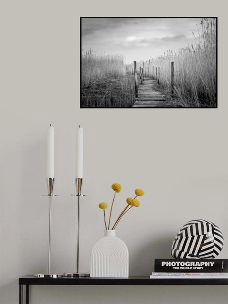 The plank bridge Poster och Canvastavla