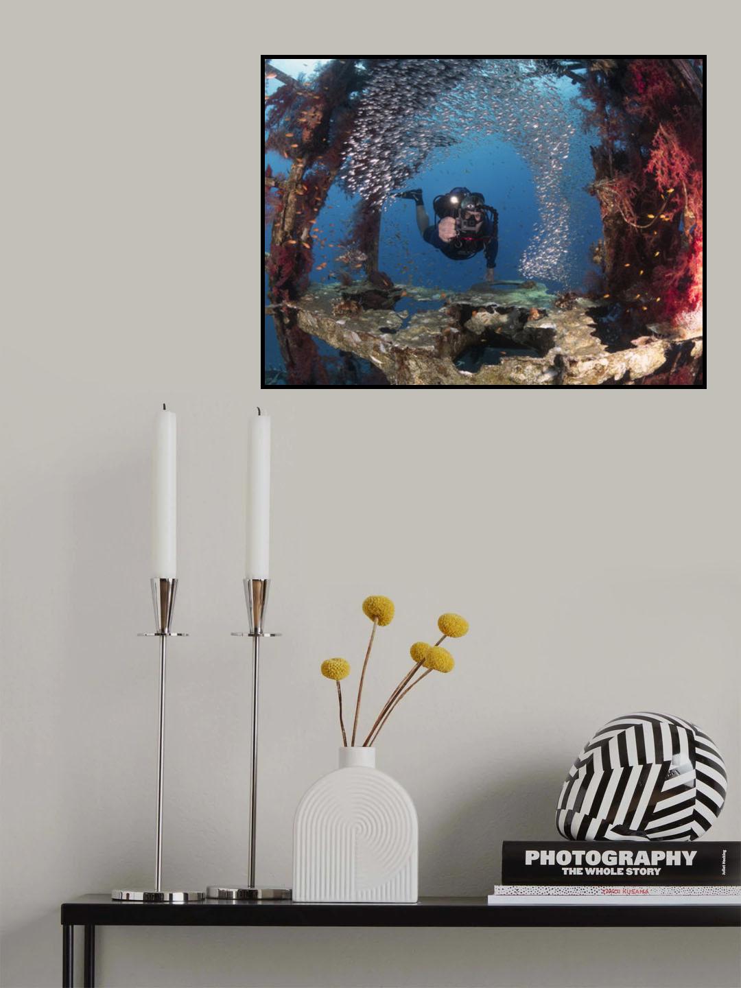 Diver and Pygmy Sweepers Poster och Canvastavla