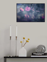 Tak Secantik Mawar Poster och Canvastavla