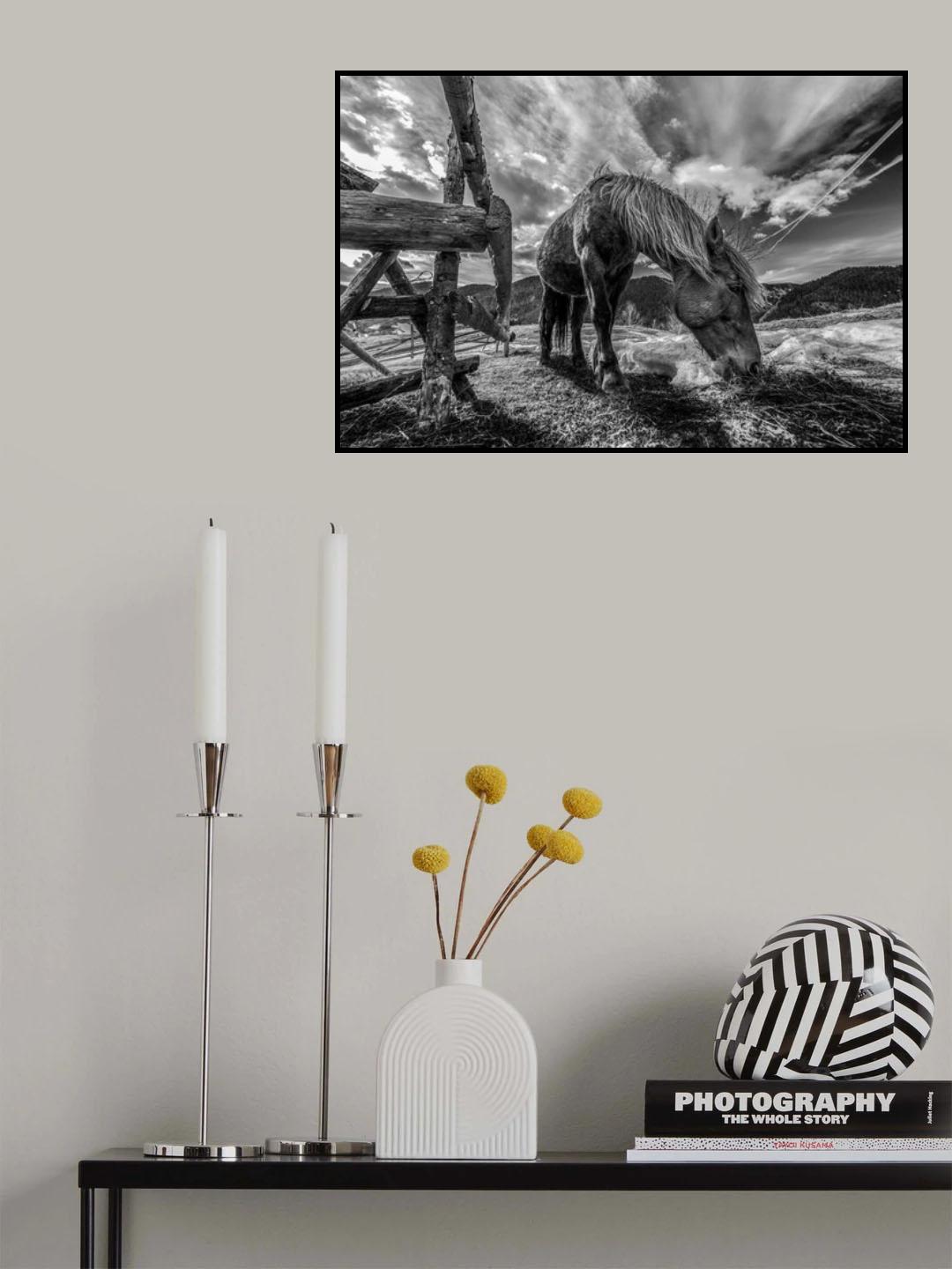 THE HORSE Poster och Canvastavla